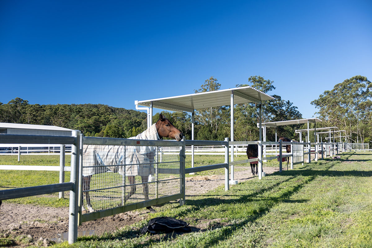 Supportive environment designed especially for broodmares
